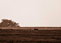 DSC_4426-Edit
