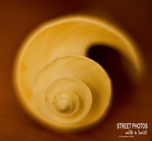 Japanese Wonder Shell
