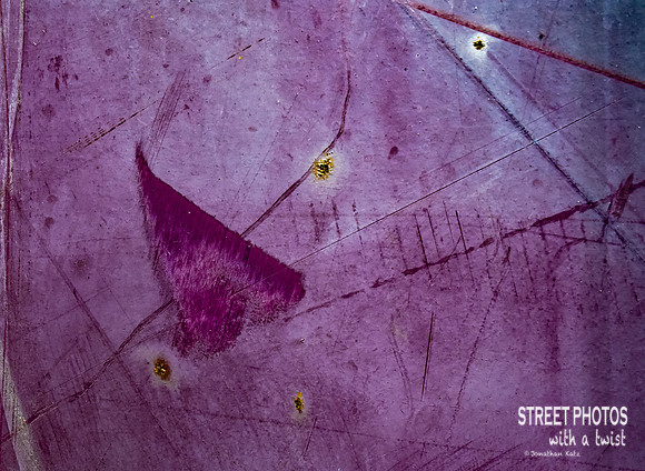 An Abstract Bug's Life