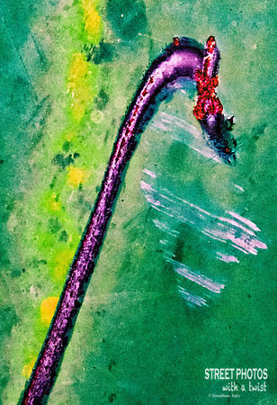Hanging On