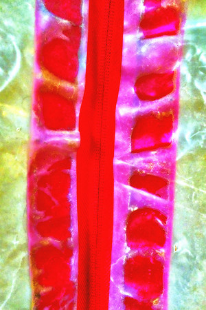 Tape Abstract