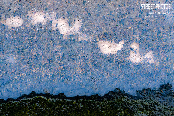 Pavement Landscape