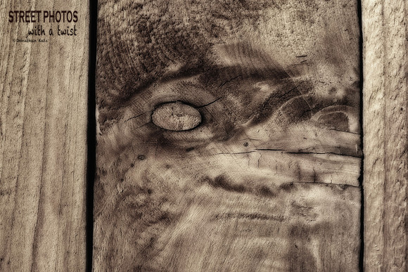 Fence Face 17