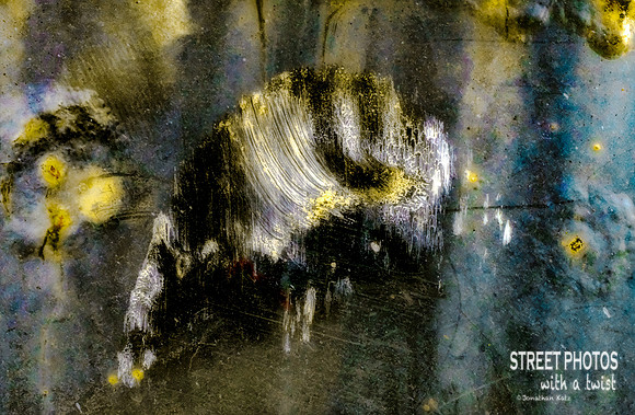 Unseen Creatures
