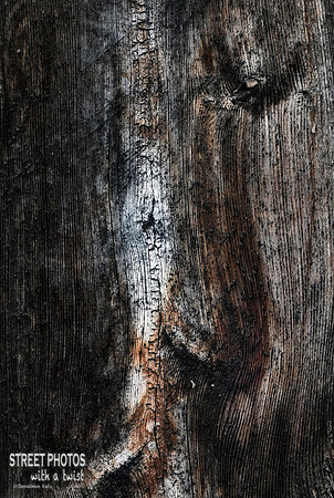 Fence Abstract Study