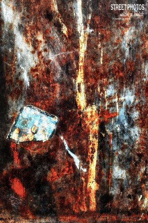 Tree of Health
