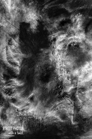 Feline Lucid Dream