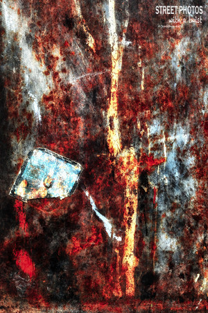 Tree of Health