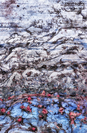 Full Monet Pond Scene II