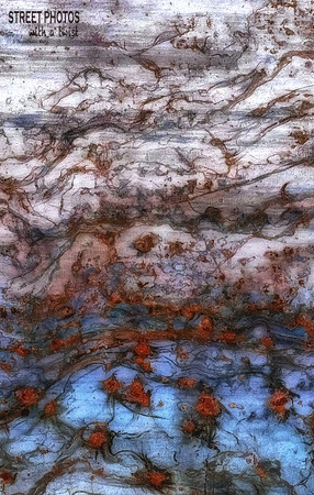 Full Monet Pond Scene