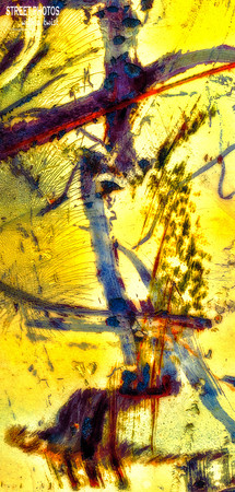 Pandemasium